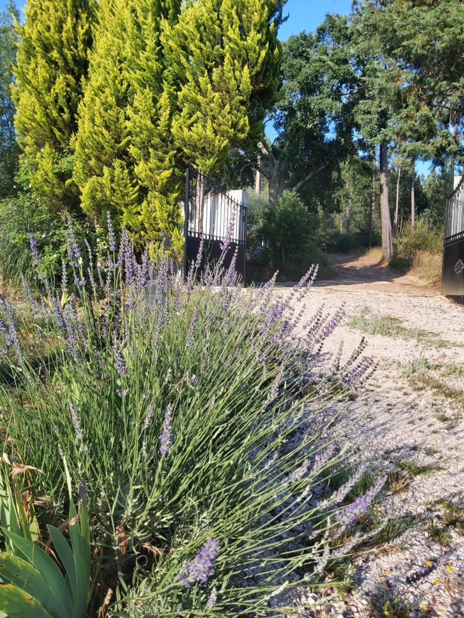 Vila Casa Vale Nicolau Arganil Pokoj fotografie